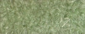 16 oliv 16 oliv